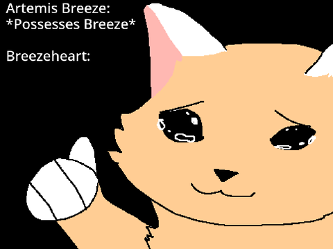 i drew some wildclan memes