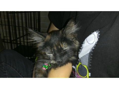 I Named Her :3