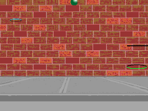 Gray Bear Bouncing Ball