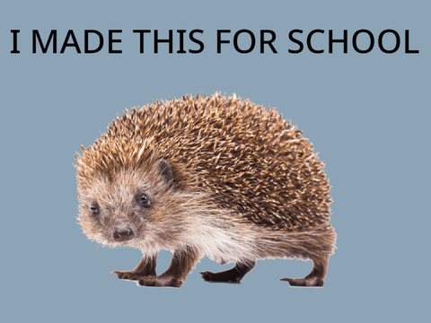 I made this for school