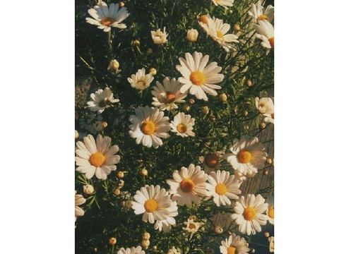 ♡