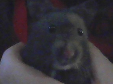 ITS VELVET :D