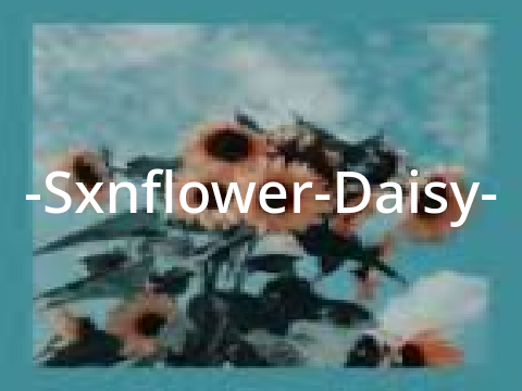 -Sxnflower-Daisy- ***