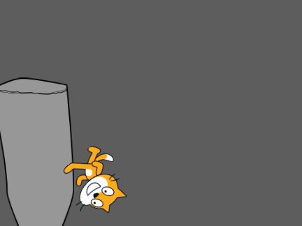 scratch cat expierences a tornado for the second time in 2 days