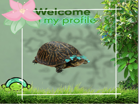 banner request for @1wings_of_fire_fan