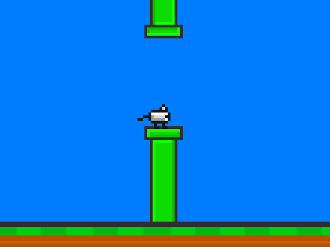 FlappyCat