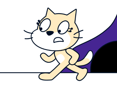 Y?
