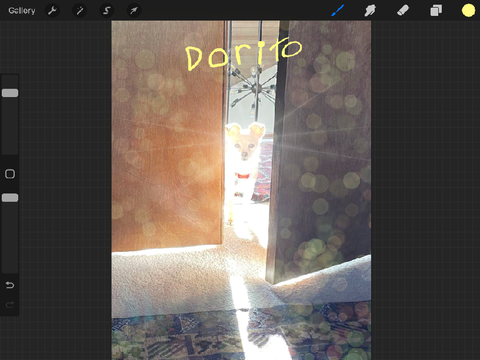 Effects on my doggo XD