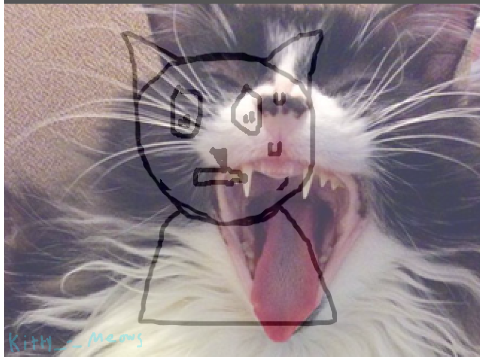 I swallowed shampoo 