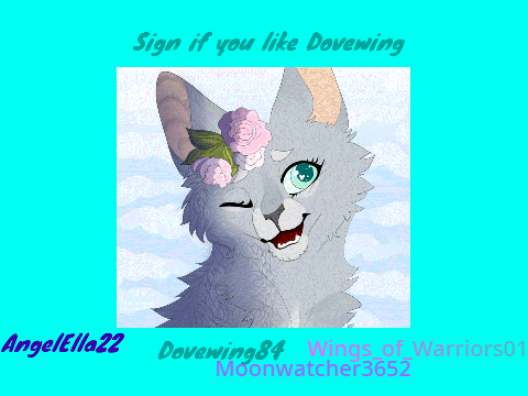 Remix and sign if you like Dovewing! remix remix remix