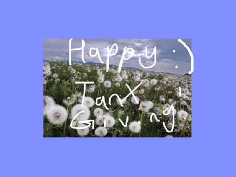 SMNF - FLOWERS MEME