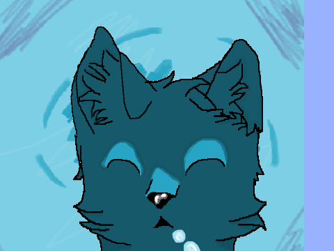 Cat CCE!