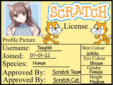 My Official Scratch License