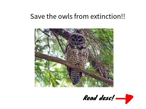 ***We must save owls!!!***