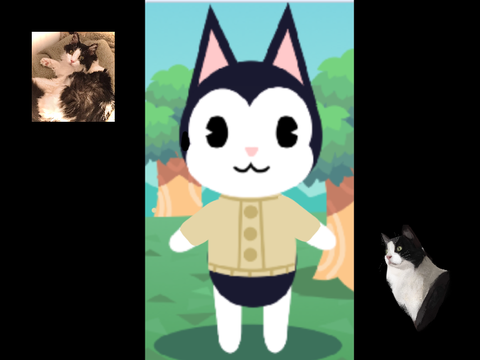 My Cat As A Animal Crossing Character