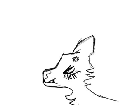 random animation
