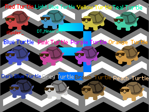 Adopt a Turtle 3