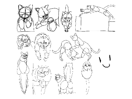 cat anatomy practice