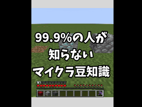 【マイクラ】多分みんなが知ってるマイクラ豆知識