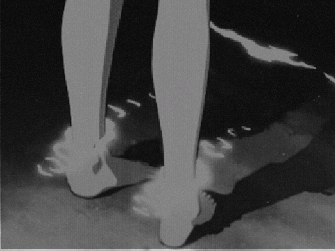 ᴡᴇʟᴄᴏᴍᴇ ᴛᴏ ᴍʏ ᴘʀᴏꜰɪʟᴇ