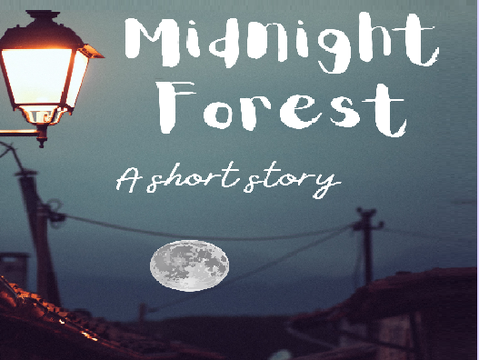 ✰ midnight forest •  a short story! - four years special!