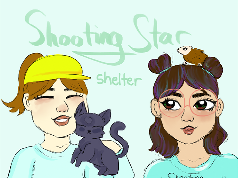 Shooting Star Shelter (@sunny686)