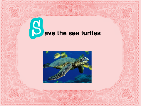 save the sea turtles