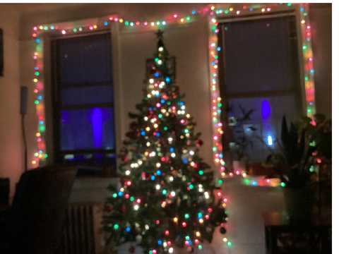 my christmas tree