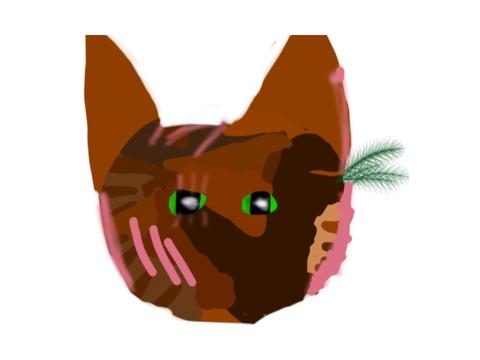 Med: oak leaf 