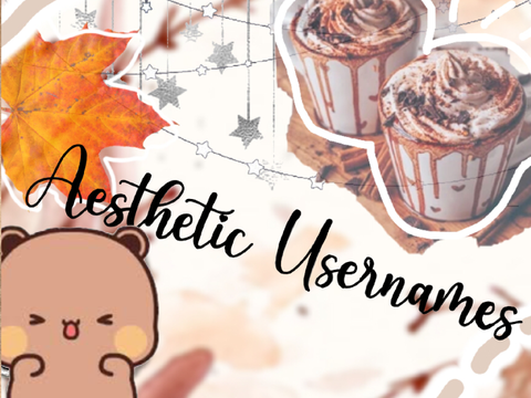 Aesthetic UserNames