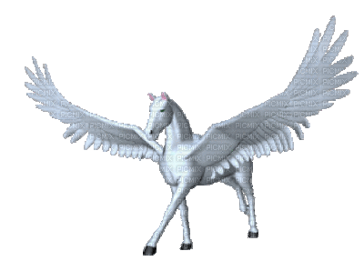 pegasus