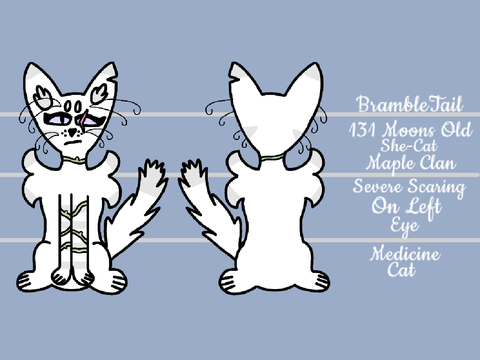 ◇New Ref Sheet◇