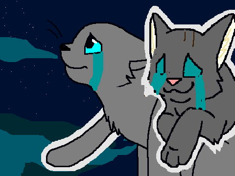 Graystripe misses Silverstream