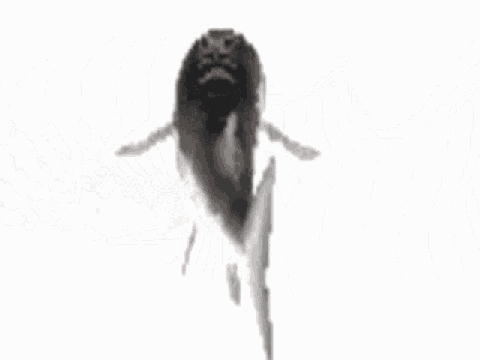 fish spins to funky town low quality for 1 hour