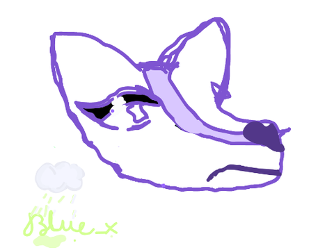 Crying  fox animation test