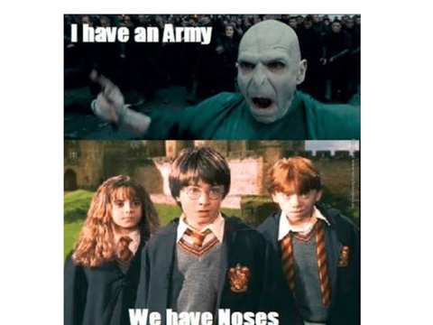 Harry Potter meme