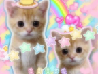 Project thumbnail
