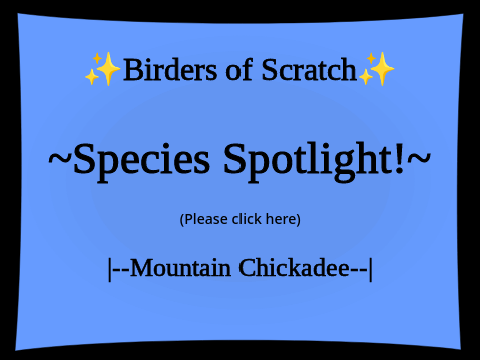 Mountain Chickadee