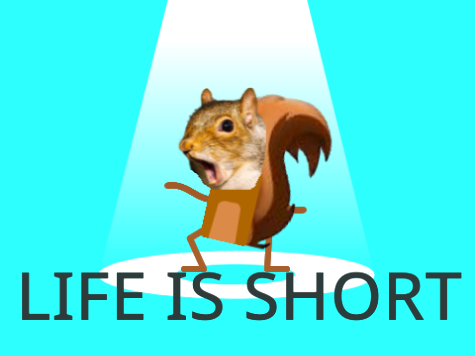 Life is short