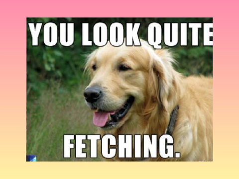35 Cute Pup Memez