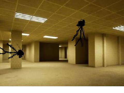 max Backrooms