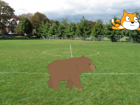 bear playing