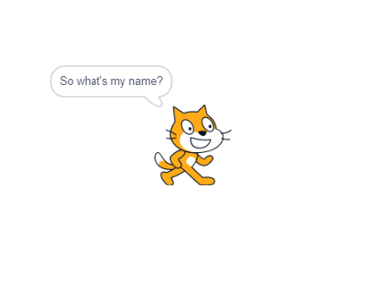 Your Local Scratch Cat AI