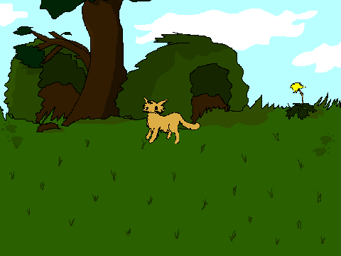 The Warrior Cats Game 