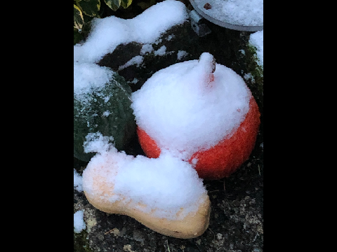 Winter Slideshow!