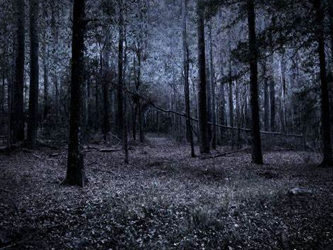 A playlist for when you want to cry