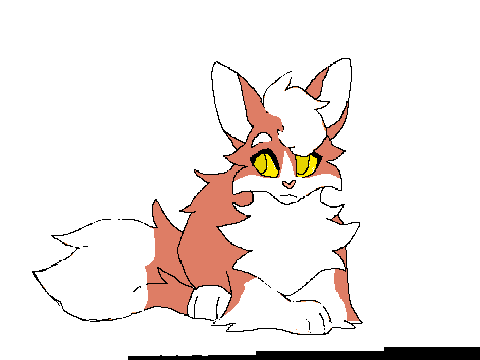 Good boi Apricot