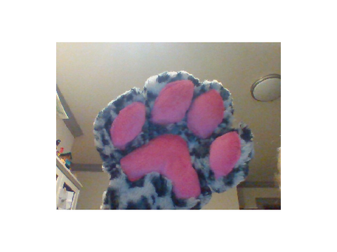 THE BAPSY BEANSS