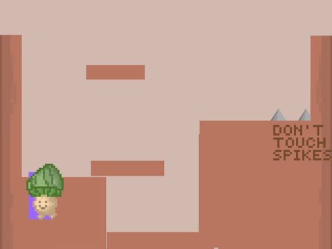 Mushamelon Run
