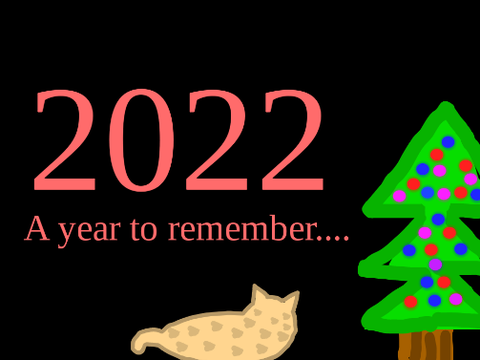 2022..... A year to Remember